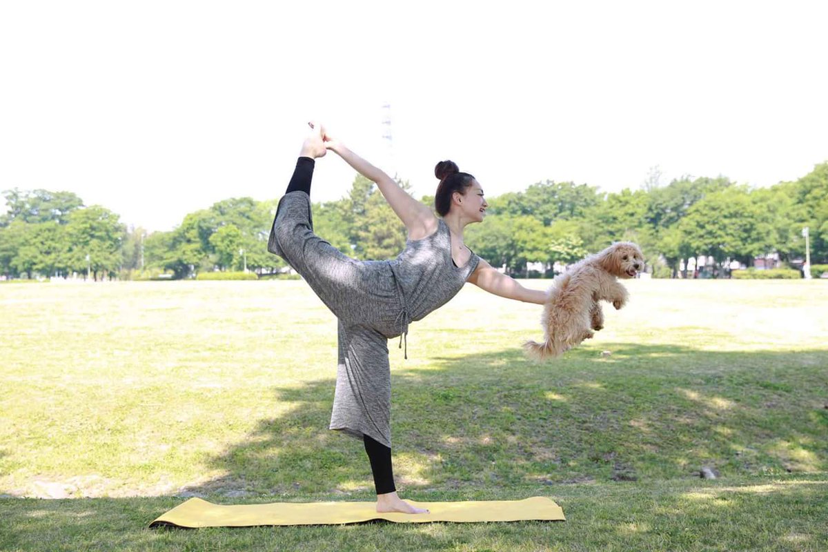 薬剤師ヨガセラピスト 桑原由佳 本日は珍しくゴールドジムでダンス系クラスの代行でした 久し振りにダンスヨガのプログラム やっぱりダンスの動きって 特別な体の使い方をするなぁと改めて実感しました 今日受けて下さったお客様 明日は全身筋肉痛な