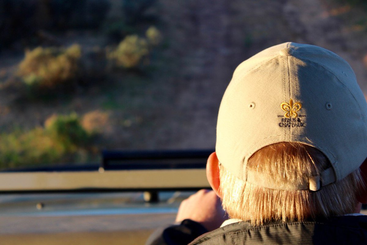 Our latest post is live... 
Our blog also has it all! 🤙🏼🇿🇦✈️
👉🏼bit.ly/2vrnJgz👈🏼
#familytravel #TravelBloggers #localtravel