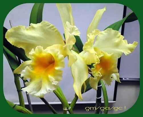 @PapaPorter1 <a href="/AndresTeSigue/">Andrés</a> <a href="/Kind90171706/">Follow me please</a> <a href="/sofia1781960/">Nadiuska Kollack</a> <a href="/EehHorn/">Esther</a> <a href="/lv4gab/">Gaby</a> <a href="/LatofaOb/">👑❤Latifa❤👑</a> <a href="/breivik_ch/">C.H</a> @CristinPereyra @ladycherrycake <a href="/kathymfish/">Kathy Fischer</a> <a href="/play_boy1971/">Innocent</a> <a href="/suz78/">✨7877✨</a> <a href="/nu_vision_quest/">🦅nu_vision_quest🏹</a> <a href="/aLAURA2015/">ℓαυяα❤#ᵀᴹ¹ᴰᴺ#ᴹᴳᵂᵛ</a> <a href="/Luna__Sara/">S▶A▶R▶A</a> <a href="/LVK36/">MsCappuccino</a> <a href="/italianostyle2/">Frankie D....TEAMSTALLION</a> <a href="/LFSRS/">Luciano</a> @Marianne_WRS @lau55c <a href="/LauraTM1DN/">Lªµ®ª💙#էო1ժռ #ოցաν</a> <a href="/_61116_/">🔱🕎MUNEE#M71117🔱🏹</a> @JuliecameronX <a href="/1F_st/">StayCreative</a> <a href="/SalvOasi/">L’Oasi di Salvo</a> <a href="/viptandon/">Blue @ Neela</a> <a href="/JcpLq2/">아모르</a> @moon7753n @MariaLuisa_MGWV <a href="/vilaandrealili1/">AňԀяєa し.❥ ∞</a> <a href="/fulla_studio/">Fulla Studio</a> <a href="/Mellyssa57/">Mell ღ   #ツᎷᎶᏔѴツ</a> <a href="/deaomnes/">CarolynNash</a> @Mary_M_Johnson <a href="/Junni_786/">JD #TEAMMZBNIKKI</a> <a href="/RealNatureGod/">Nature God</a> @MaryT79718239 @CristinPereyra <a href="/LFSRS/">Luciano</a> <a href="/lv4gab/">Gaby</a>🌑
<a href="/carolin62104956/">carol-inna</a> <a href="/LatofaOb/">👑❤Latifa❤👑</a>🔔
<a href="/sofia1781960/">Nadiuska Kollack</a> <a href="/JKSilvis/">Jennifer Silvis</a> <a href="/Silau25/">♡Silvia♡</a>🌑
@227eada8efa54eb <a href="/Silvia080/">Elizabeth</a>🔔
@wlw7 <a href="/ifarmlife/">ifarm</a>🌑