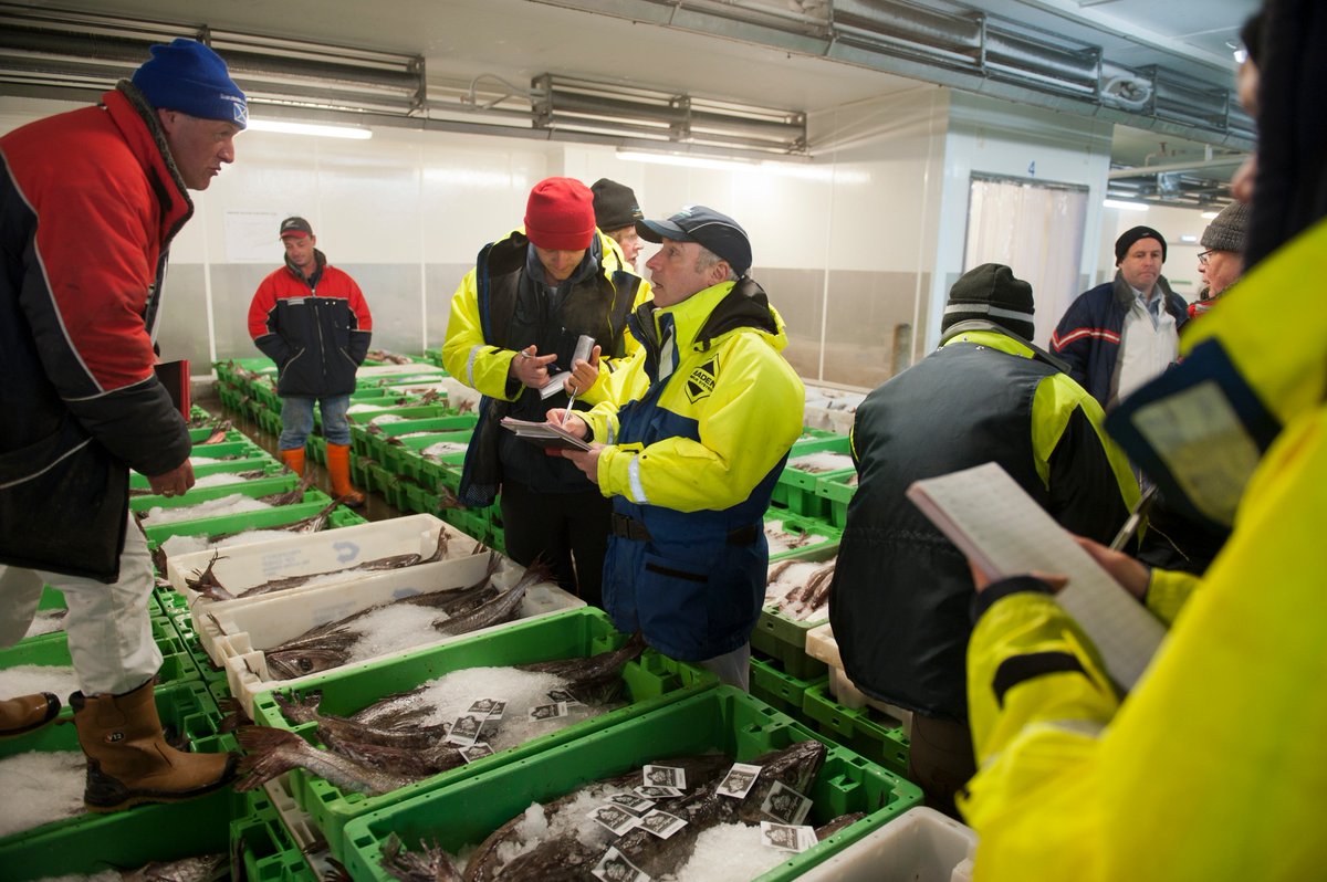 seafishuk's tweet image. What a result! UK fishing sector sees best economic performance since 2008. Full details here: ow.ly/oKWq30dGV42 #QuayIssues