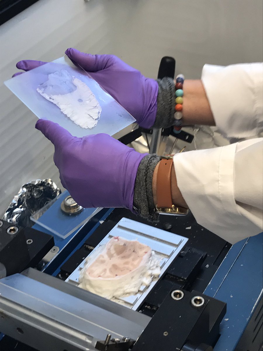 DukeGovRel's tweet photo. Incredible start to @columbiamed #projectmeded. At New York State Psychiatric Institute studying brains & mental health. #science #research https://t.co/828TpIYDeA