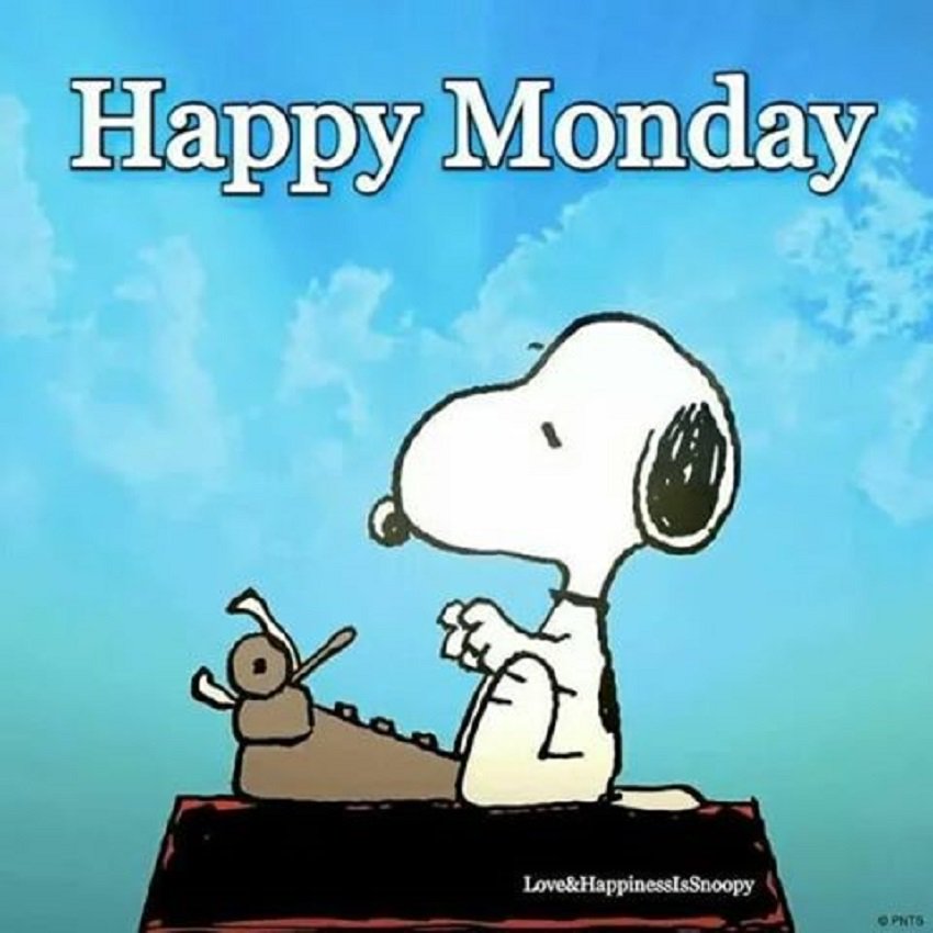 Snoopy Facts on Twitter: "Happy Monday everyone 😊 #snoopyfacts ...