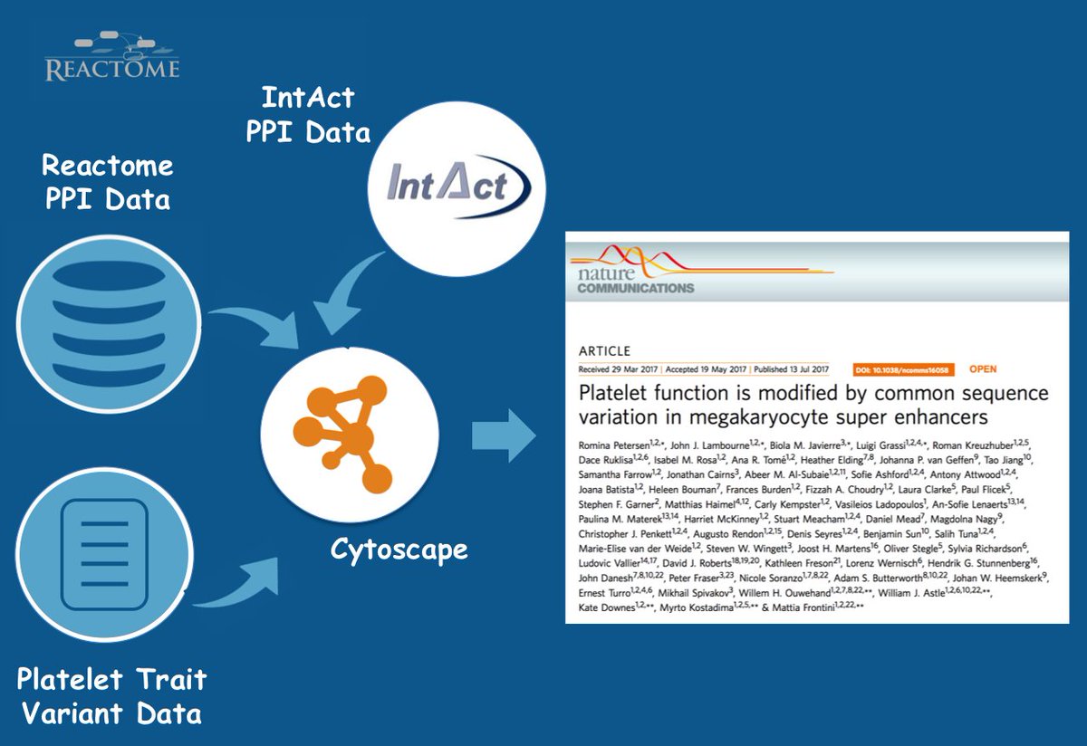 reactome's tweet image. Visualising platelet trait variants in system level #network derived from our &amp;amp; @intact_project data #usereactome rdcu.be/ufED