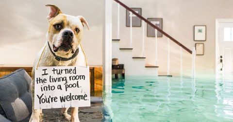 jennaisch's tweet image. Do you have home insurance?
#InsuranceHumor