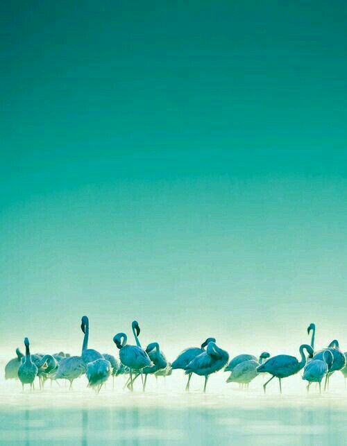 <a href="/carolin62104956/">carol-inna</a> <a href="/sofia1781960/">Nadiuska Kollack</a> <a href="/suz78/">✨7877✨</a> <a href="/kathymfish/">Kathy Fischer</a> @MariaLuisa_MGWV <a href="/DeFaukatrua/">Edu live</a> <a href="/lv4gab/">Gaby</a> @ladycherrycake <a href="/houzukihayato/">HH.Reborn 鬼灯颯人 Nt_A.I Ж 7-19</a> <a href="/TaposKumarBasu/">⭐✳️🇮🇳तापोस🇮🇳✳️⭐</a> <a href="/LatofaOb/">👑❤Latifa❤👑</a> <a href="/breivik_ch/">C.H</a> @CristinPereyra <a href="/play_boy1971/">Innocent</a> <a href="/nu_vision_quest/">🦅nu_vision_quest🏹</a> <a href="/aLAURA2015/">ℓαυяα❤#ᵀᴹ¹ᴰᴺ#ᴹᴳᵂᵛ</a> <a href="/Luna__Sara/">S▶A▶R▶A</a> <a href="/LVK36/">MsCappuccino</a> <a href="/italianostyle2/">Frankie D....TEAMSTALLION</a> <a href="/LFSRS/">Luciano</a> @Marianne_WRS @lau55c <a href="/LauraTM1DN/">Lªµ®ª💙#էო1ժռ #ოցաν</a> <a href="/_61116_/">🔱🕎MUNEE#M71117🔱🏹</a> @JuliecameronX <a href="/1F_st/">StayCreative</a> <a href="/SalvOasi/">L’Oasi di Salvo</a> <a href="/viptandon/">Blue @ Neela</a> <a href="/AndresTeSigue/">Andrés</a> <a href="/JcpLq2/">아모르</a> @PapaPorter1 @moon7753n <a href="/EehHorn/">Esther</a> <a href="/vilaandrealili1/">AňԀяєa し.❥ ∞</a> <a href="/fulla_studio/">Fulla Studio</a> <a href="/Mellyssa57/">Mell ღ   #ツᎷᎶᏔѴツ</a> <a href="/deaomnes/">CarolynNash</a> @Mary_M_Johnson <a href="/Junni_786/">JD #TEAMMZBNIKKI</a> <a href="/RealNatureGod/">Nature God</a> @MaryT79718239 <a href="/I____free/">💪🏻</a> <a href="/sheeeeeeeerrry/">🎖#MUNEE#M71117🏹🕎</a> @OptimumNaturae <a href="/Reinah_Morena/">🌸❤ⒶηGy❤🌸</a> <a href="/pouramours/">Sofia</a> <a href="/chrisEnit06/">💜 chris-T-IN-e 💜</a> <a href="/MeconiumHappens/">Yrg</a> @kazurin4428