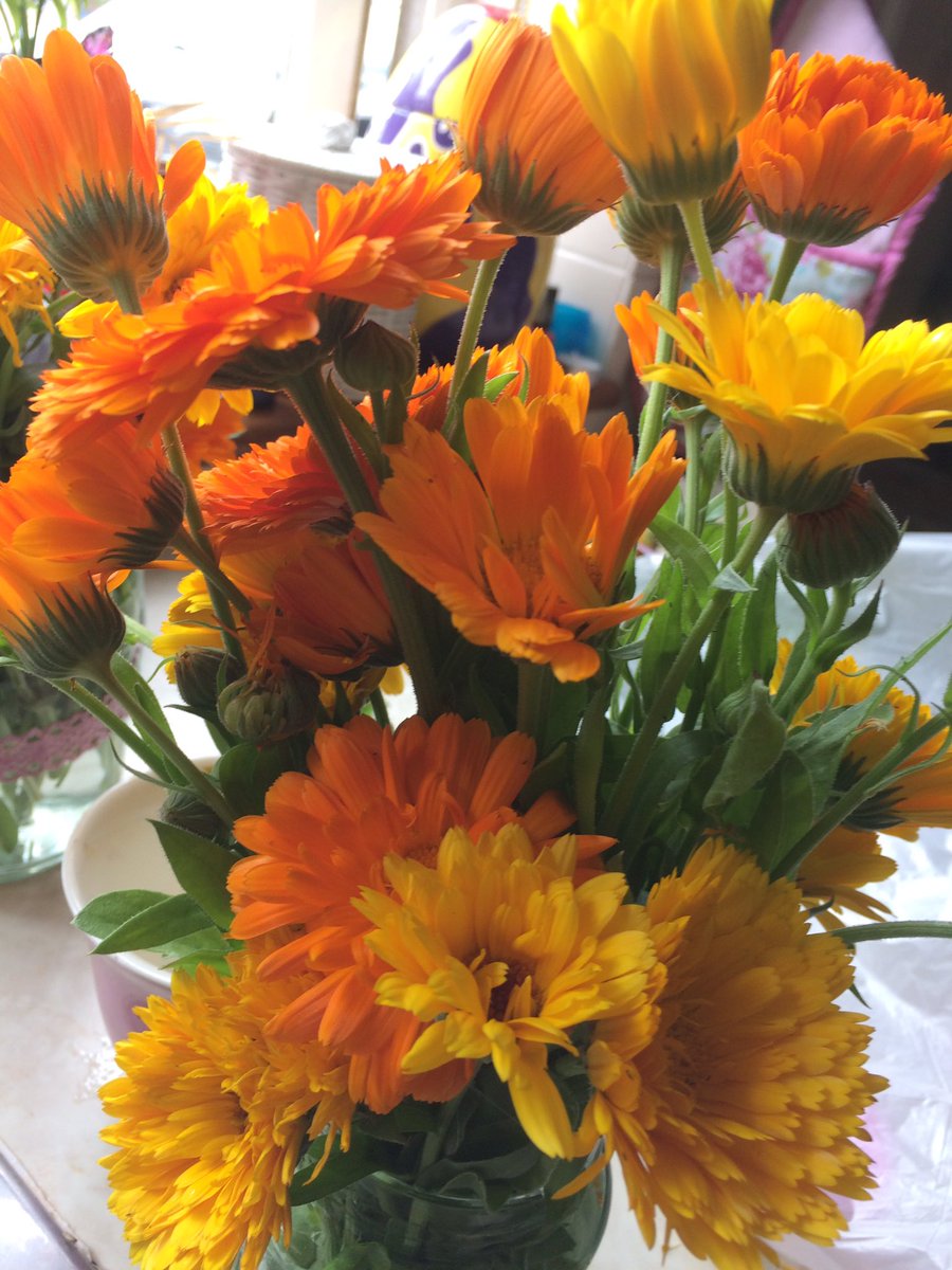 katsley's tweet photo. Glorious flowers from the plot=happiness! #flowers #GYO https://t.co/URjpPOPY1I