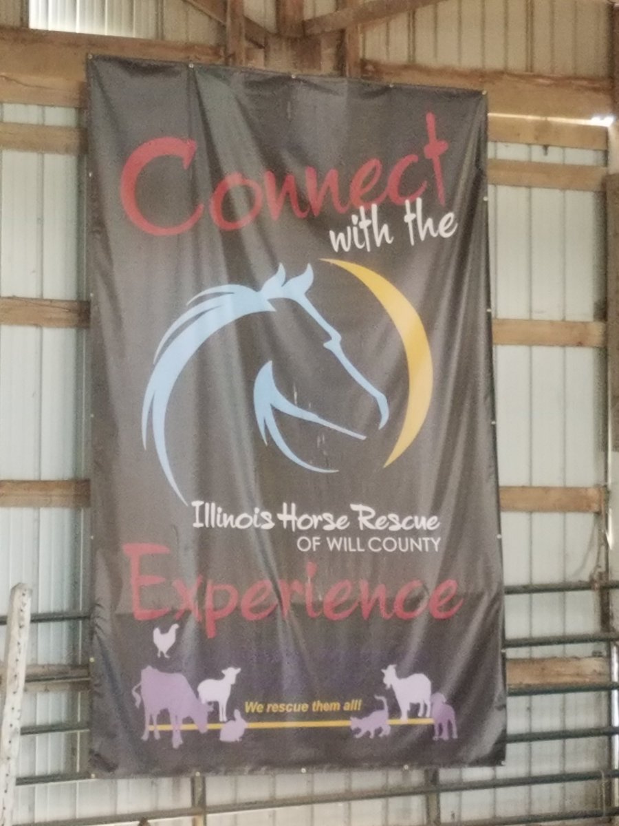 hapimom54's tweet photo. #CampMosh2017 https://t.co/32G7HszeMR