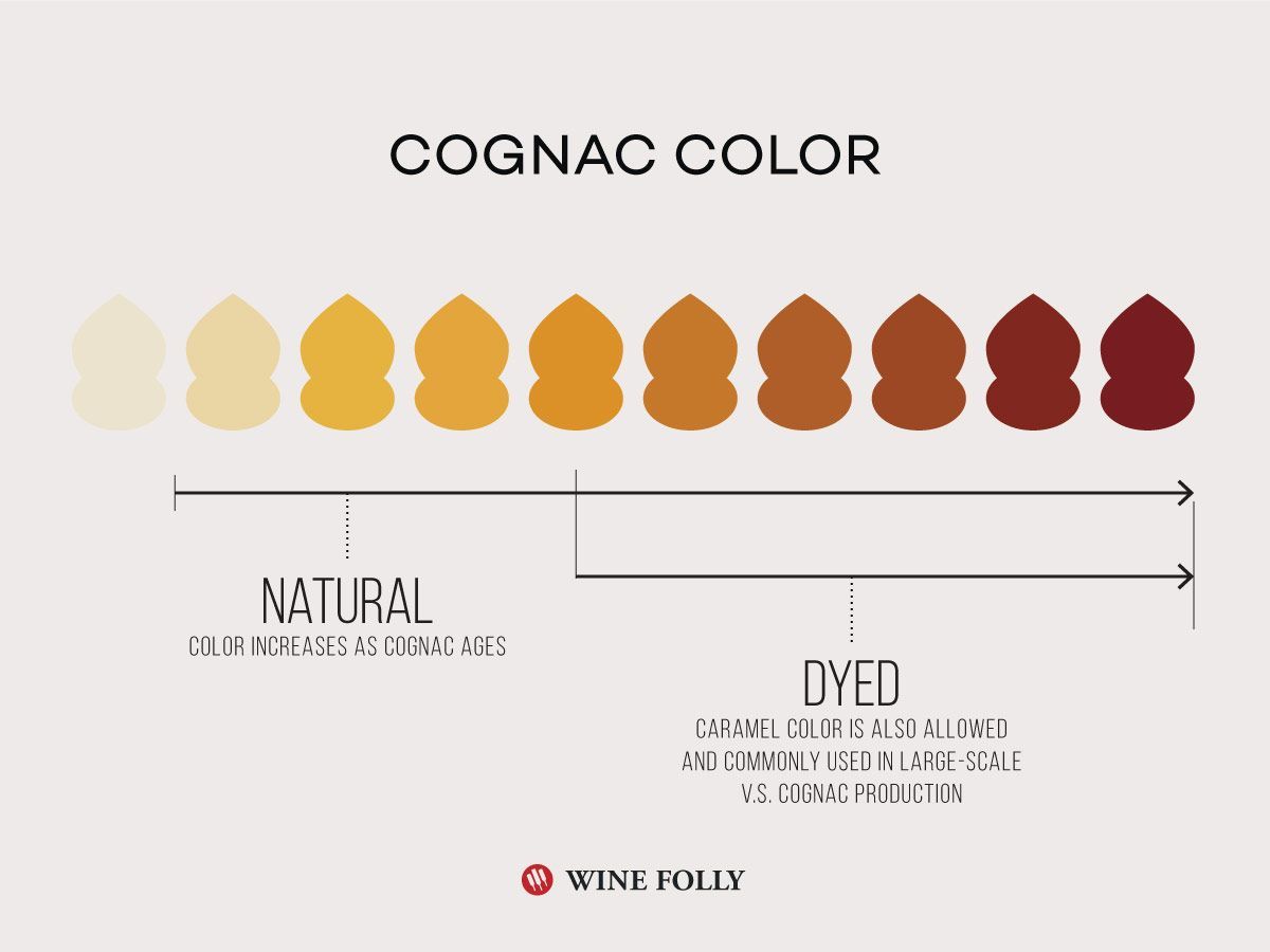WineFolly's tweet photo. Everything you ever wanted to know about Cognac. https://t.co/wrBtLxVQ1p https://t.co/TmHL8nvJ5x