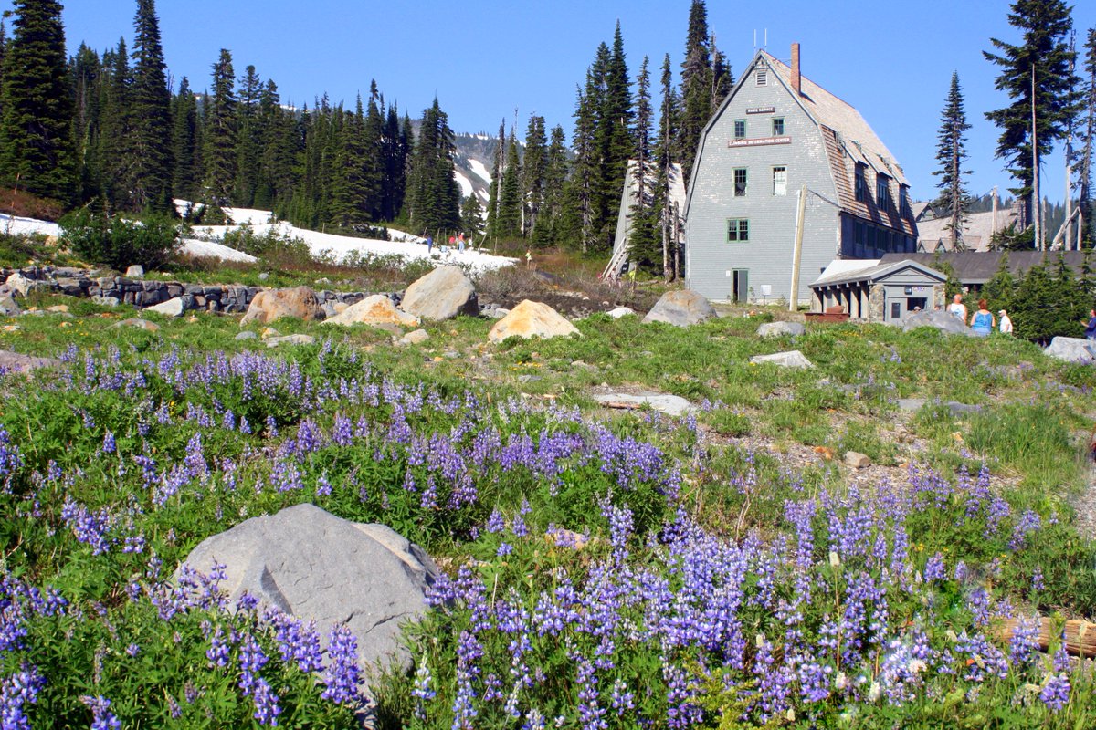 Visit Rainier tweet media