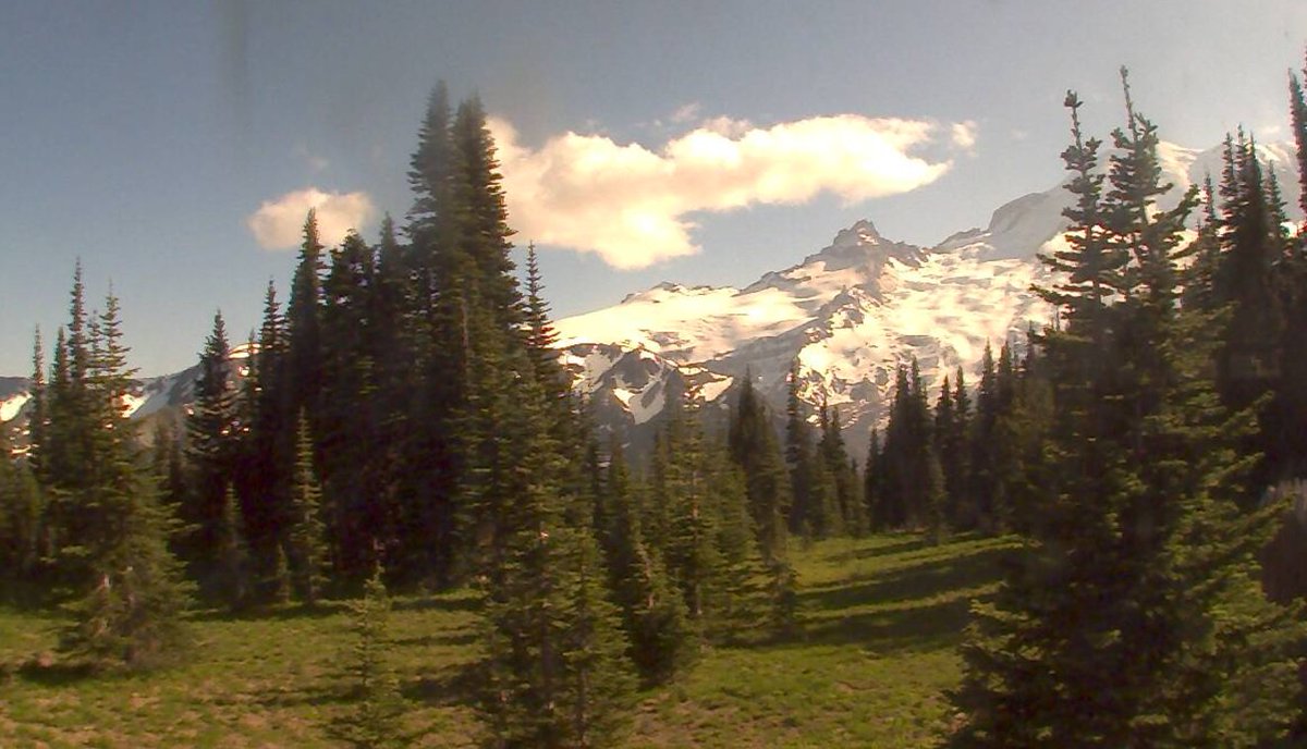 Visit Rainier tweet media
