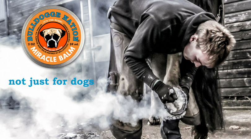 BulldoggeNation's tweet photo. All-purpose body balm for dogs &amp; horses! Order yours today! https://t.co/GOylICvzq9 #bulldoggenation #miraclebalm #itsthebomb https://t.co/m98Uo6evyr