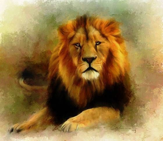 lone_wolf__1's tweet photo. one tweet #doneFinishednoRegret
one tweet #FreedomOfPeace
4
u
4
me
4
humanity jj https://t.co/b1dBs7NF19