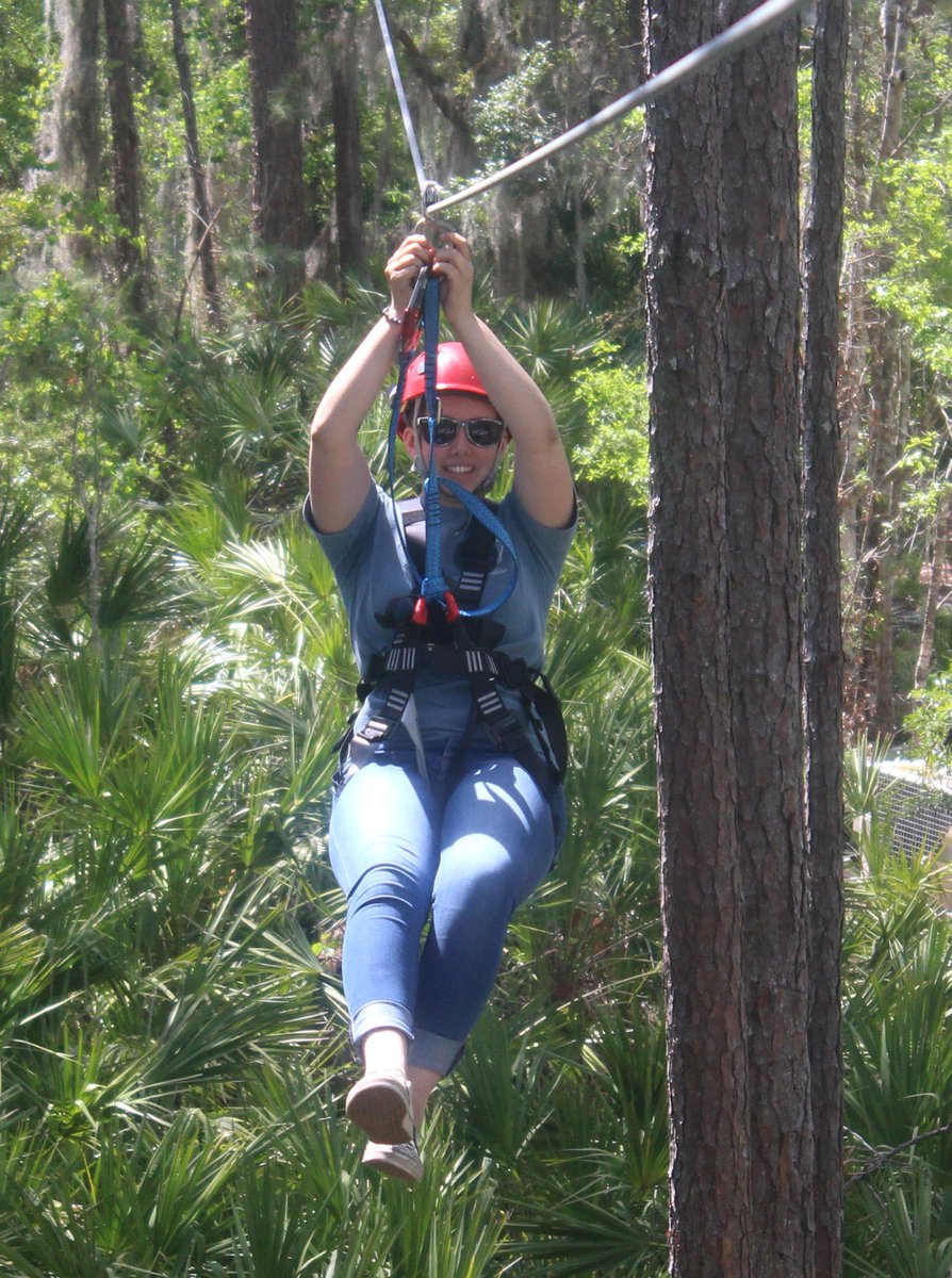 VISIT FLORIDA tweet media