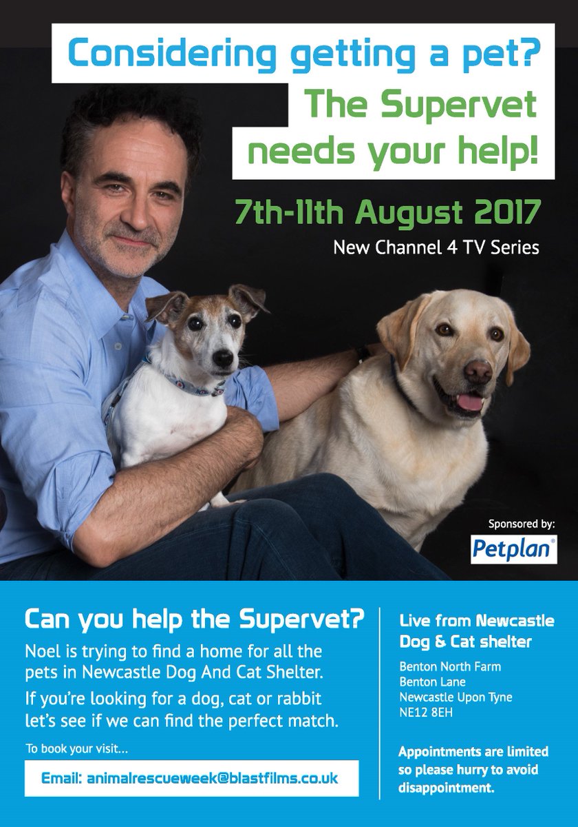 PLS RT! CASTING CALL OUT You've got 2 weeks to get involved!  #Newcastle #Geordie #NorthEast #rehoming #cats #dogs #bunnies #cute #supervet