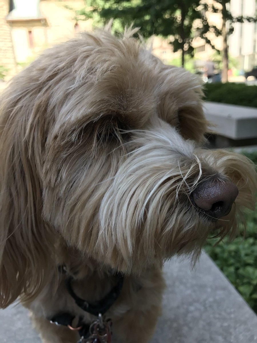 StphenWare's tweet image. 