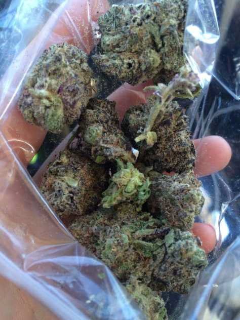 KarlJrMax1's tweet image. 