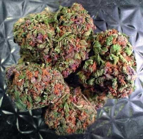 KarlJrMax1's tweet image. 