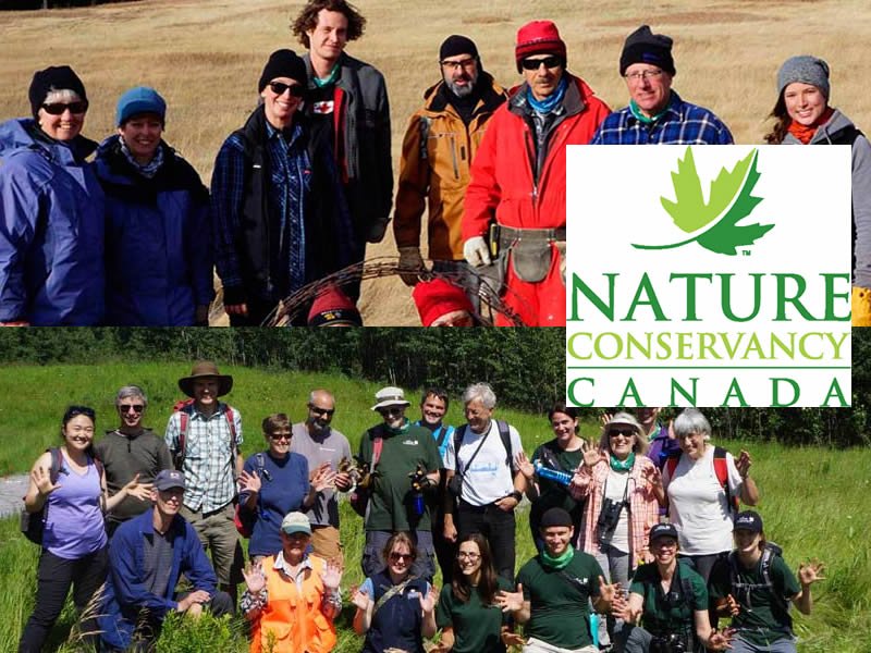 Preserving Nature dlvr.it/PWGHPB https://t.co/2WbyCExW5c