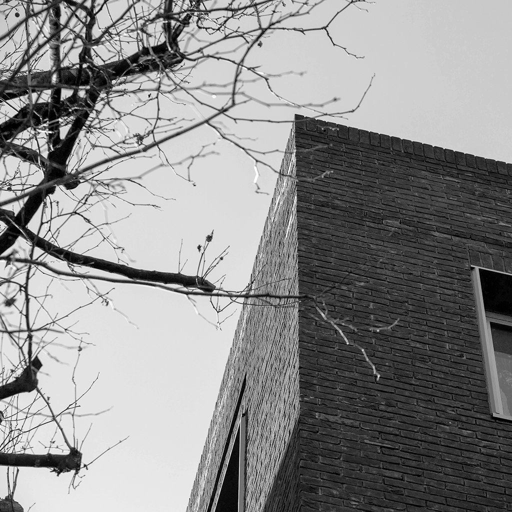 monohaus tweet media