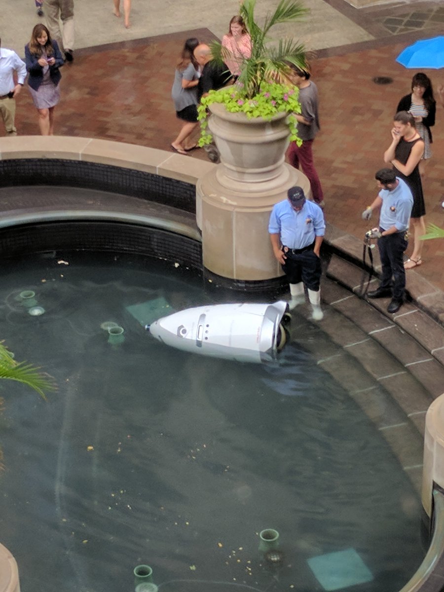 Security Robot drowns in Washington DC