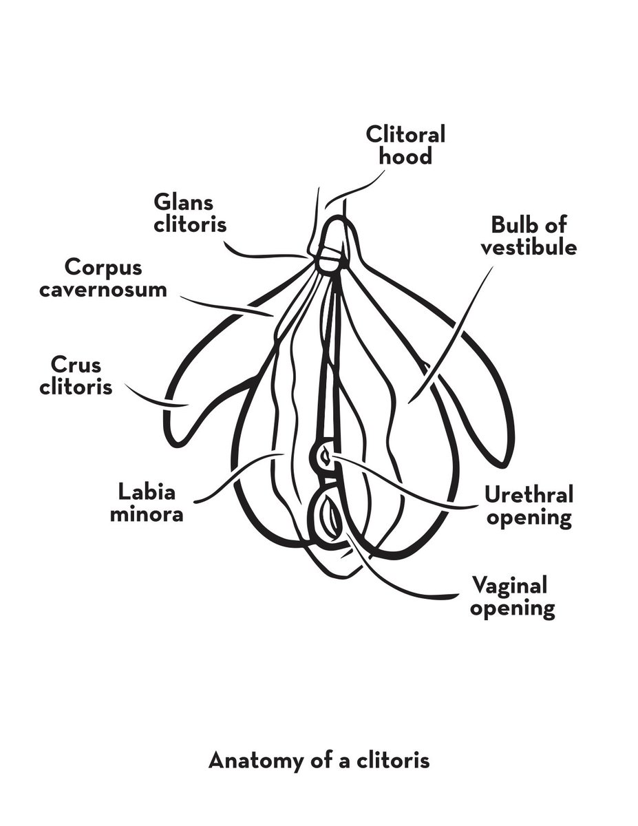 Understanding our bodies