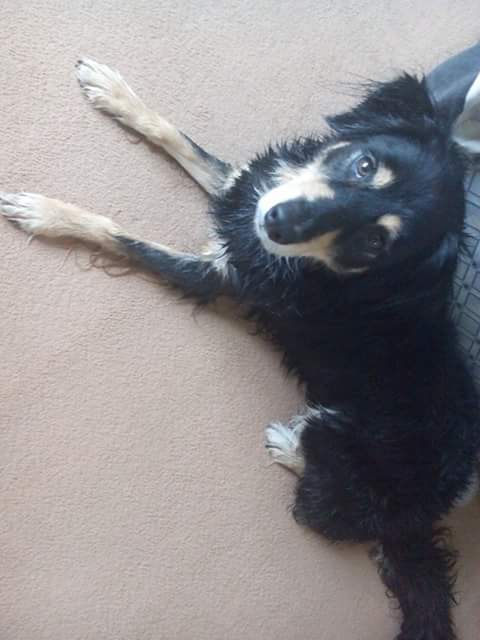 mattjames2017's tweet image. 