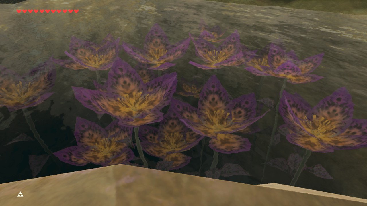 Twitter पर Rayblue ドクロ池の水中花が不気味怖い ゼルダの伝説 Breathofthewild Nintendoswitch
