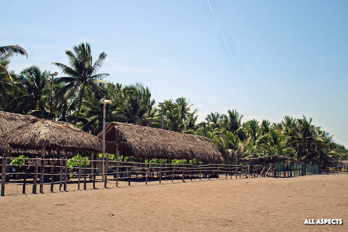 AllAspectsCG's tweet image. Just beachy! 🌴☀️🤸🏻‍♀️