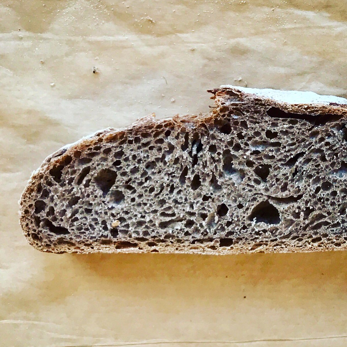 Experimenting with grape seed flour - a light #sourdough loaf with wheat, <a href="/kamutbrand/">KAMUT® Brand Wheat</a> flour and 5% grape seed flour #kamut #RealBread