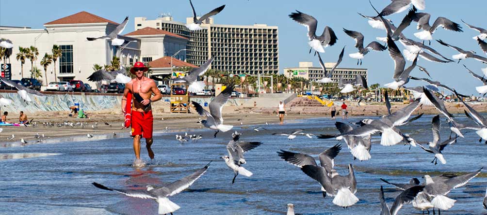 SurfGalveston's tweet image. Heading to the beach? Get continuously updated beach watch advisories from Galveston.com! galveston.com/beach-watch-ad…
