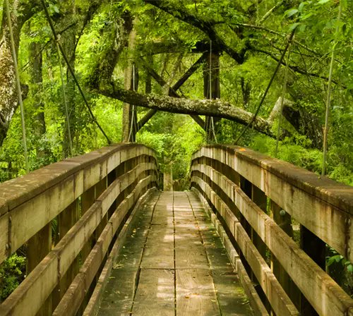 412FoodRescue's tweet photo. Know an #adventurer or #leader? @ApothecaryMuse supports #volunteerbased #outdoor programs; now accepting Brand Ambassador applications! https://t.co/2MAbX9O60J