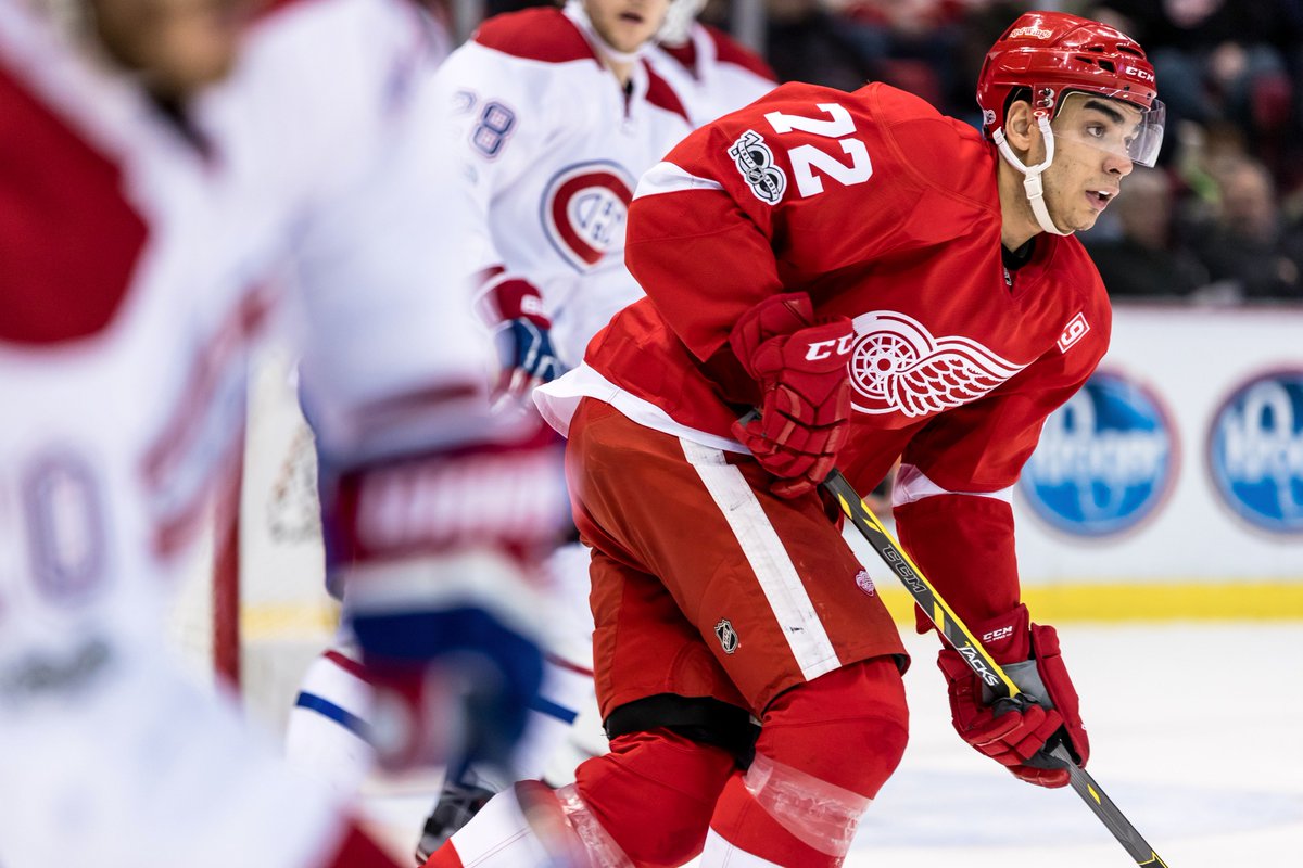 #RedWings By the Numbers: Andreas Athanasiou's year in review: redwn.gs/2u1ZaYi https://t.co/YBeoSlyaNO