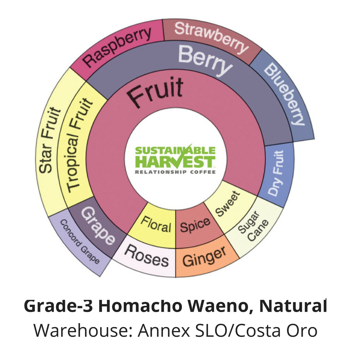 SustHarv's tweet photo. Exceedingly nuanced with complex flavor & aroma, the coffees of Homacho Waeno are a must-try #Ethiopia #SpotOffering https://t.co/3EP2GMAfrJ https://t.co/nuT9JHE2S8