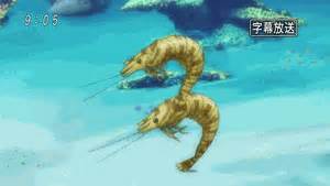 QuestionShrimp's tweet image. How shrimp celebrate #Mangroveactionday