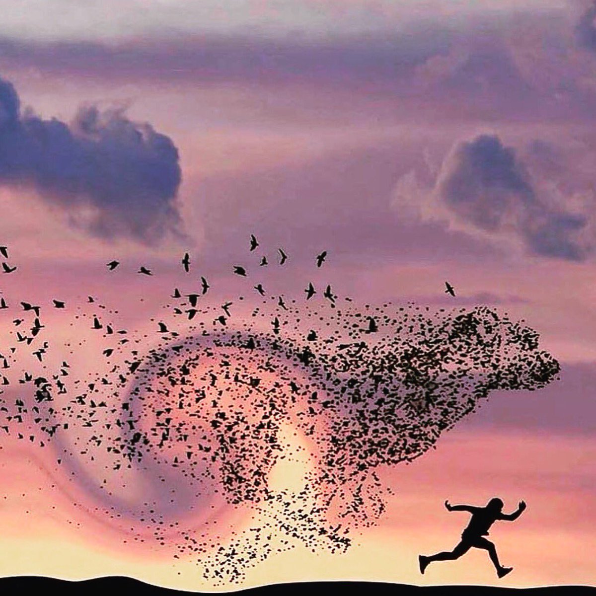 NordicEstates's tweet image. You can run but you can't hide.... face your fears