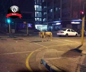 blog8balls's tweet photo. Nova postagem no blog, confere lá!

Melhores DoGrupo #24 - https://t.co/UgzQWfJT05 https://t.co/DLwJBYvae4