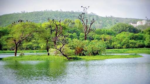 Image result for pashan lake