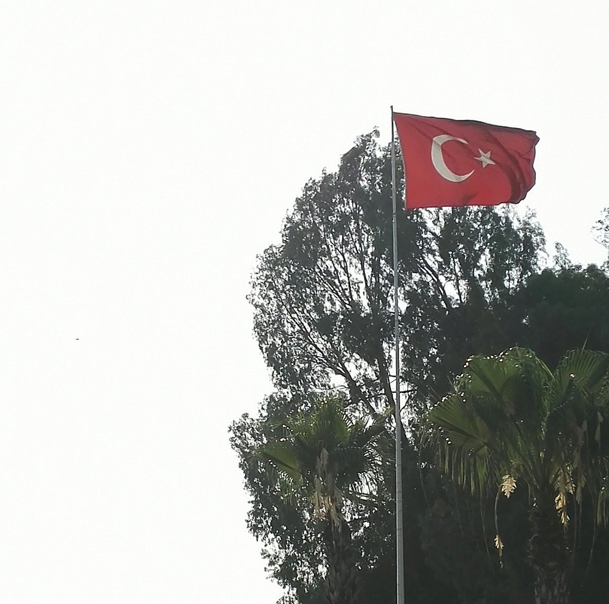 turkculer_'s tweet photo. Bütün Turan Eller Kurban TÜRK'ün Bayrağına
#KutlukTigin https://t.co/3CxOBfoTym