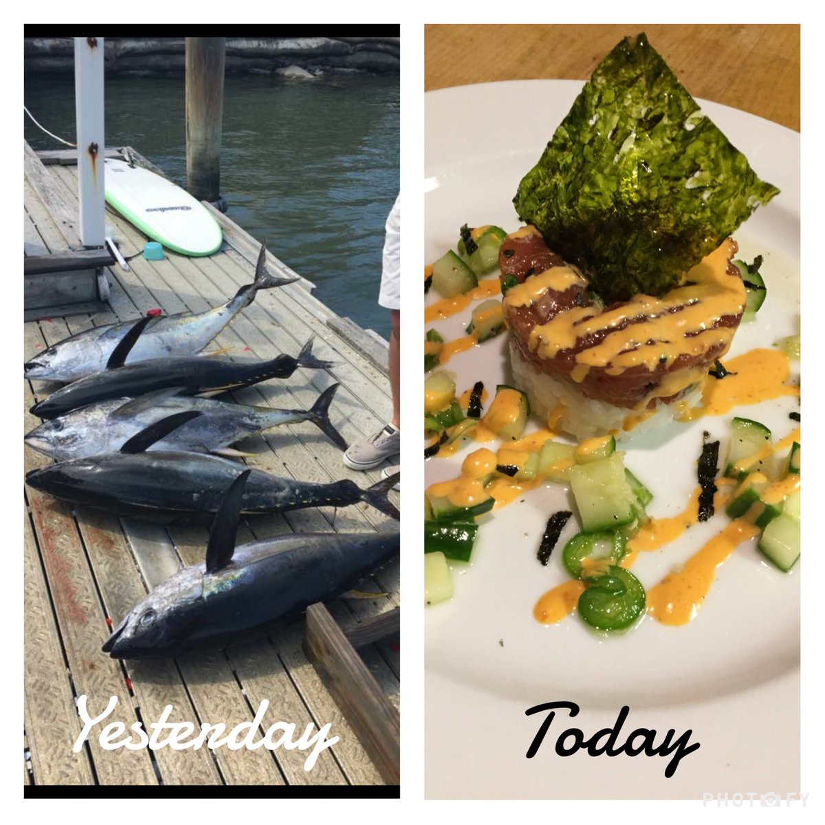 GDChefJess's tweet image. It doesn't get any fresher! My cousin caught this beautiful yellow fin and I turned it into poke! Come and get it!