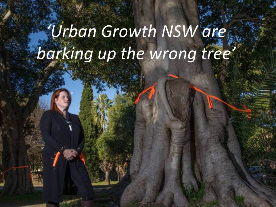 SydneysTrees's tweet photo. #shameproject Suzette from @nprag is chatting to Wendy Harmer on ABC 702 c 9:15am this morning re the historic trees set  2 go #Parramatta https://t.co/0kmwKWY0bs