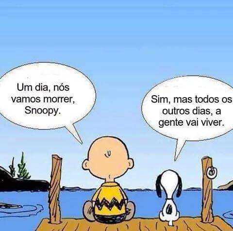 #BetaAjudaBeta #betaseguebeta