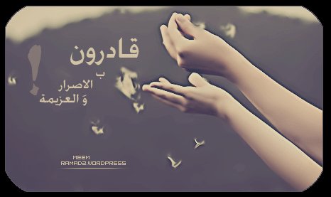 ⁧#سعوديات_نطلب_اسقاط_الولايه365⁩
⁧#سنه_من_الاصرار⁩
قادرات 
بالعزيمة
والاصرار
والتكاتف
والاحساس بالمسوؤلية
وتحدي المستحيل
سوف نأخذحقوقنا