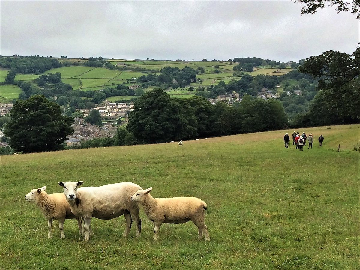 <a href="/WalkInYorkshire/">Walk In Yorkshire</a> <a href="/nidderdaleuk/">Pateley & Nidderdale</a> <a href="/IlkleyU3A/">Ilkley & District u3a</a> #mist- Mist&amp;drizzle buit still a lovely Hike2Lunch walk on the Bewerley Industrial Heritage Trail