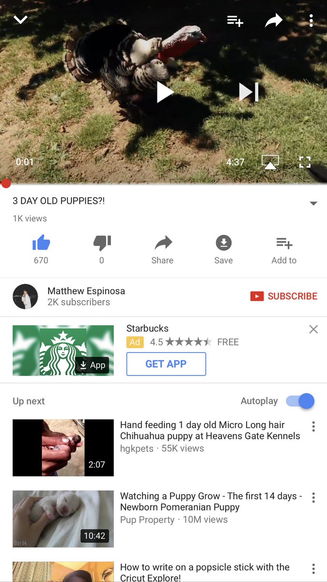 Mckaylav74's tweet photo. Go watch Matt's new video👍🏽

#MatthewsNewVid 

Link: https://t.co/FhXKux0Ux0 
x5 https://t.co/Eyz2OeLdQr