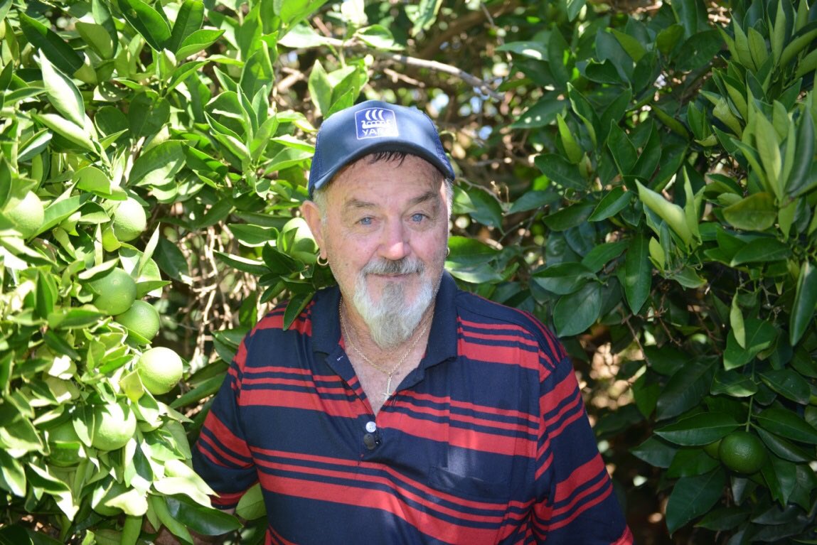 yara_australia's tweet image. A great #fertiliser program is key to producing quality fruit for many seasons on #Sunraysia orchard - Find out how: bit.ly/2sHtVnQ