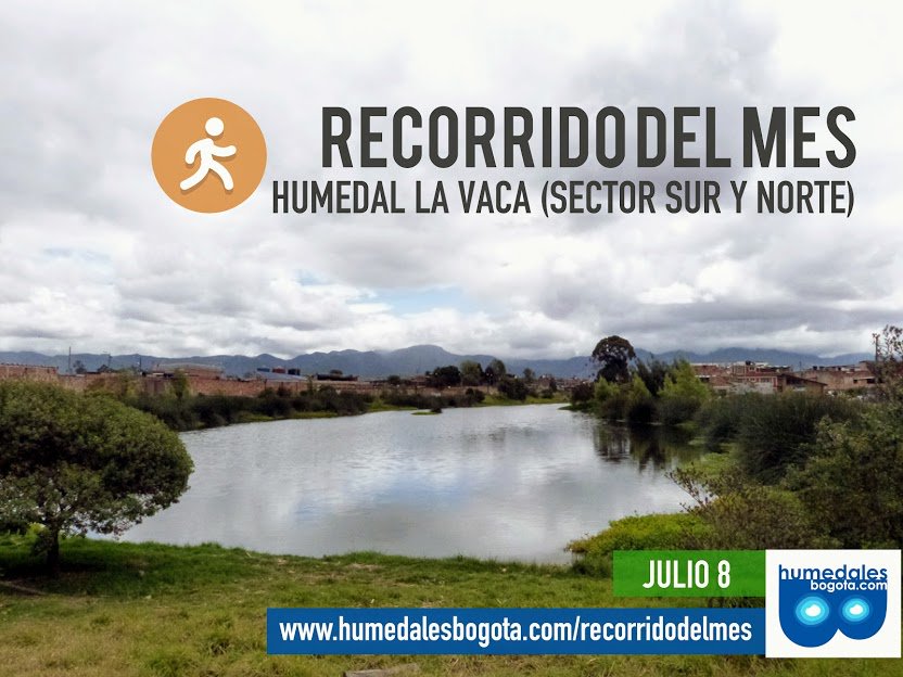 La cara triste del humedal La Vaca Sur está cambiando. #SOSvacasur 1 DEAuvYpWAAAMlAw