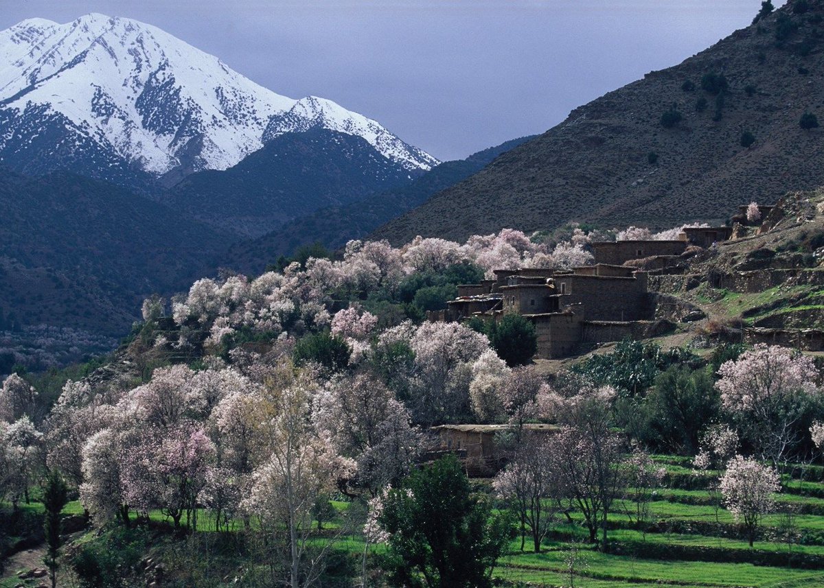 moroccotouring_'s tweet photo. The High Atlas is the biggest mountain range in North Africa.
#morocco #high_atlas #morocco_touring #Tours https://t.co/EAGtKlVLJo