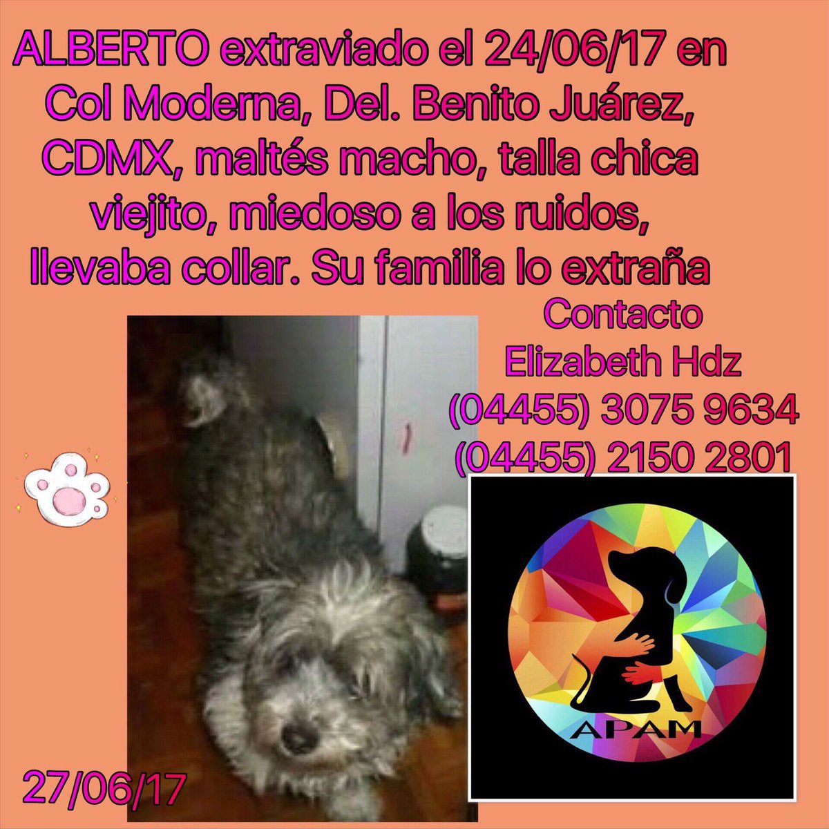 APAMDif's tweet photo. Se busca a alberto!!!  Nos ayudas a encontrarlo??? Lo extrañan!!
#SeBusca 
#Perdidos 
#CDMX
#APAMDif https://t.co/YQPus2uUMW