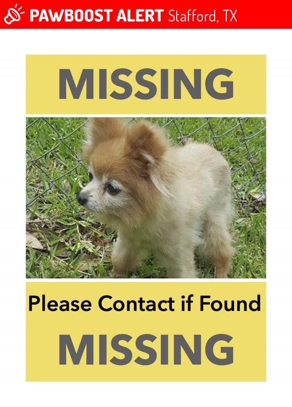 PawBoost's tweet photo. Please RT! Have you seen Brandi? #missing #lost #pet in #MeadowsPlace #TX 77477 https://t.co/jJYfXhVapp https://t.co/UDDu1ein1Z