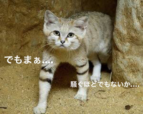 でもまあ騒ぐほどでもないか